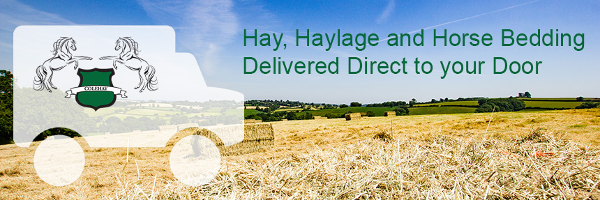 Hay, Haylage and Horse Bedding Delivered Direct to your Door